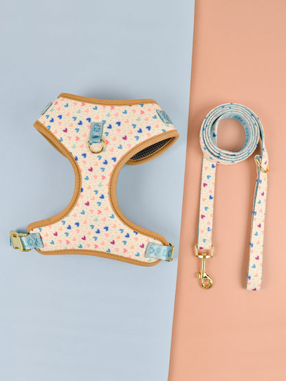 Summer Cute Pet's Chest-back Haulage Rope Package Suitable