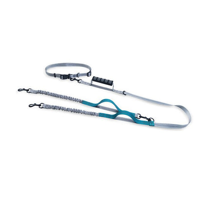 Dog Leash Hands Free Bungee Multifunctional Running 🐕