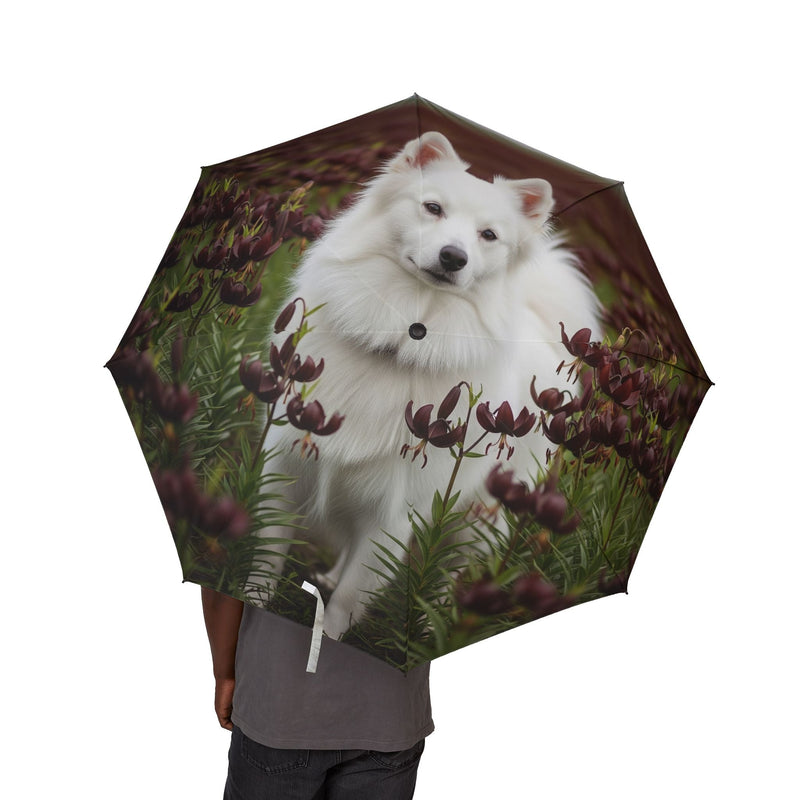 American Eskimo Dog Semi-Automatic Foldable Umbrella
