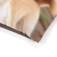 Korean Jindo Dog Pet Bed