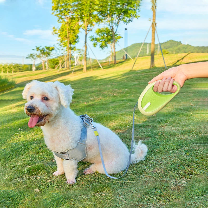 3m Pet Leash For Small Dogs Cat Automatic Retractable Nylon Durable Walking Lead Puppy Outdoor Travel Pet Products 1pcs