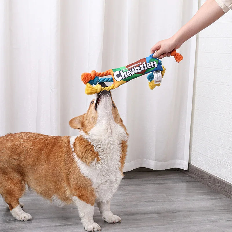 Puppy Cotton Chew Rope Toy Colorful Braided Knot