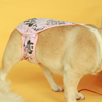 Pet Dog Physiological Pants Aunt Pants corgi