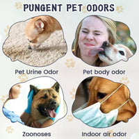 Pet Odor & Stain Eliminator, Clean Dog And Cat Body Odor