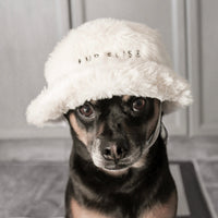 Furi Pet Hat - Bone