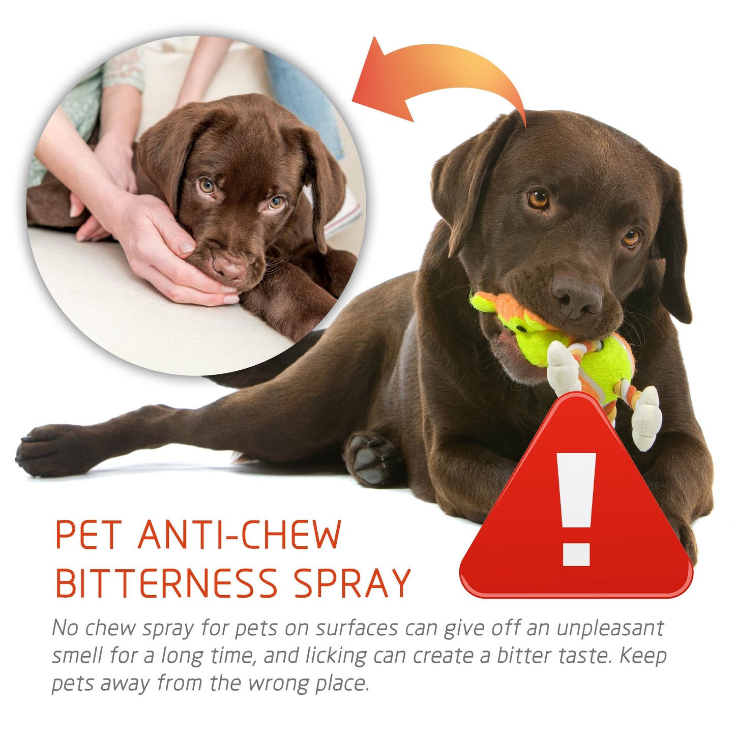 Pet Anti-Chew Spray Pet Behavior Modification Anti-Bite Scratching Spray For Cats And Dogs