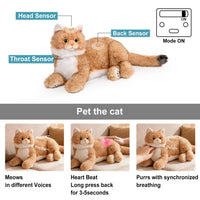 Percy 2.0 Golden British Short Hair Cat- Breathing  Heartbeat Pur,Voice Robonic Cat