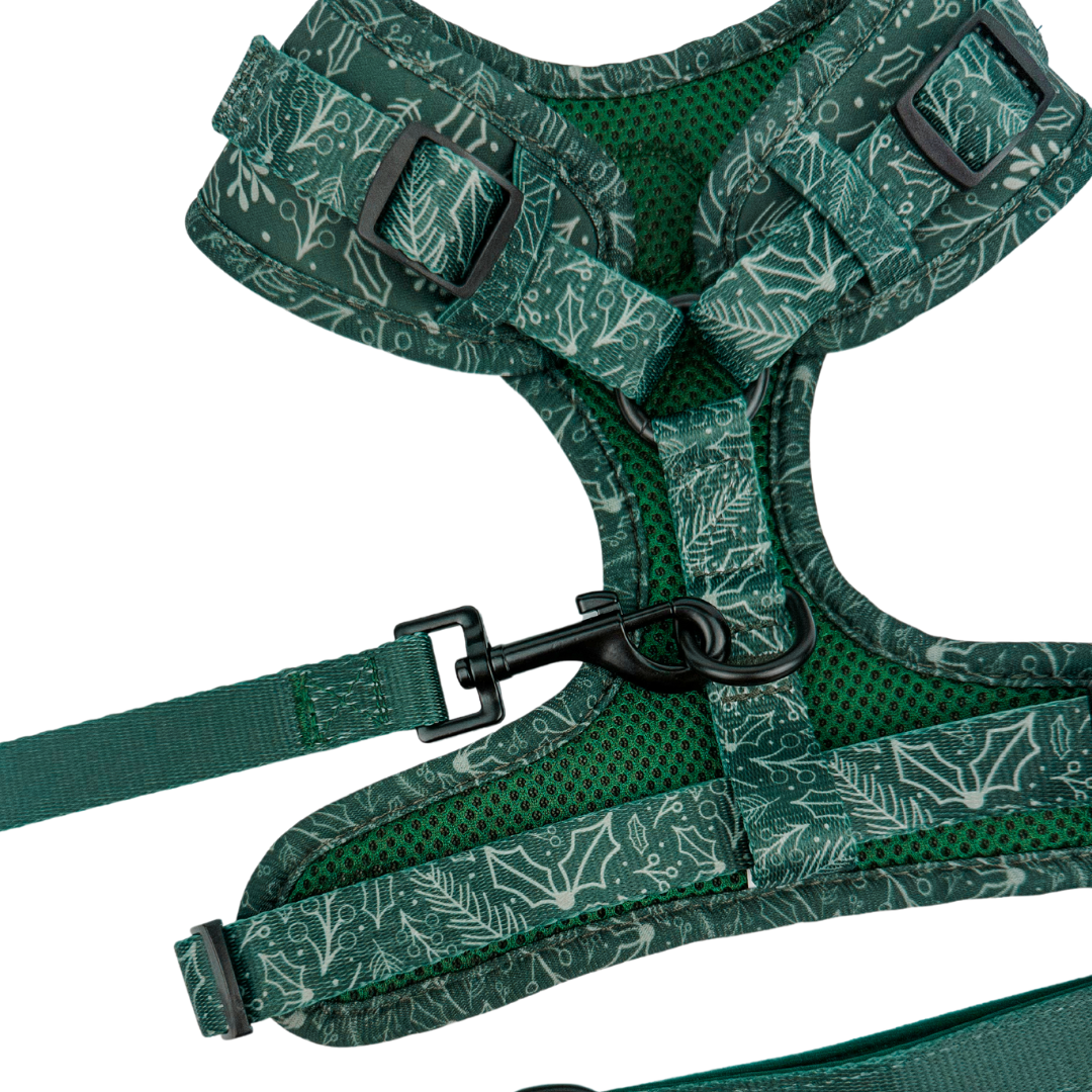 Evergreen Dream Adjustable Neoprene Dog Harness Comfort Fit by Purrfect Pet Kingdom: Green botanical print and mesh.