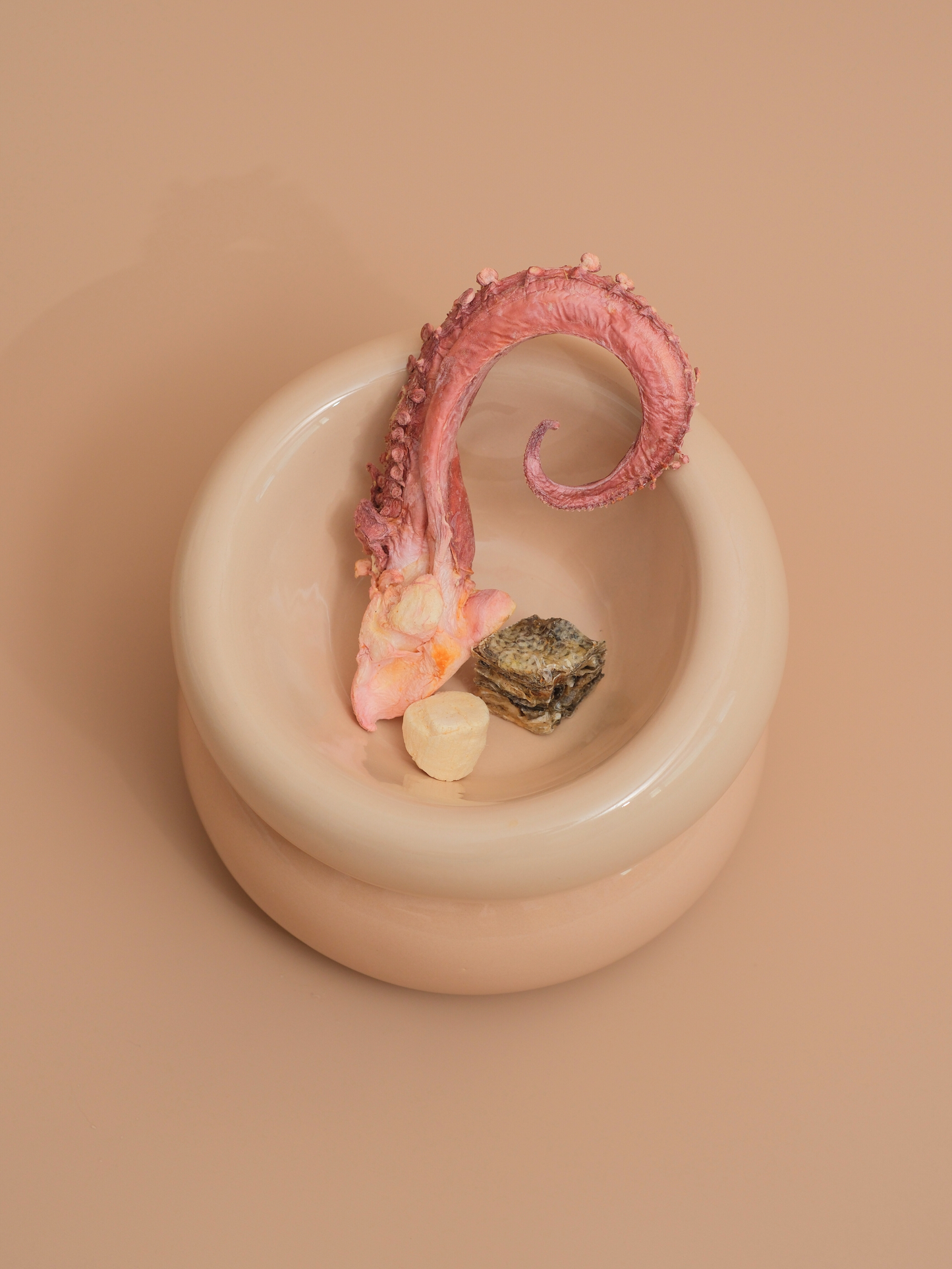 Ergonomic Ceramic Slanted Cat Bowl for Healthy Neck Support