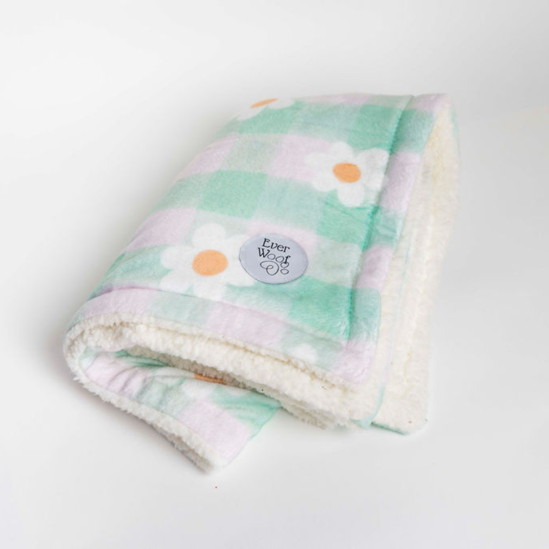 Oopsie Daisy Dog Blanket | Purrfect Pet Kingdom