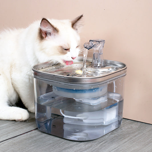 Stainless Steel Pet Water Fountain - Auto Circulation Dispenser