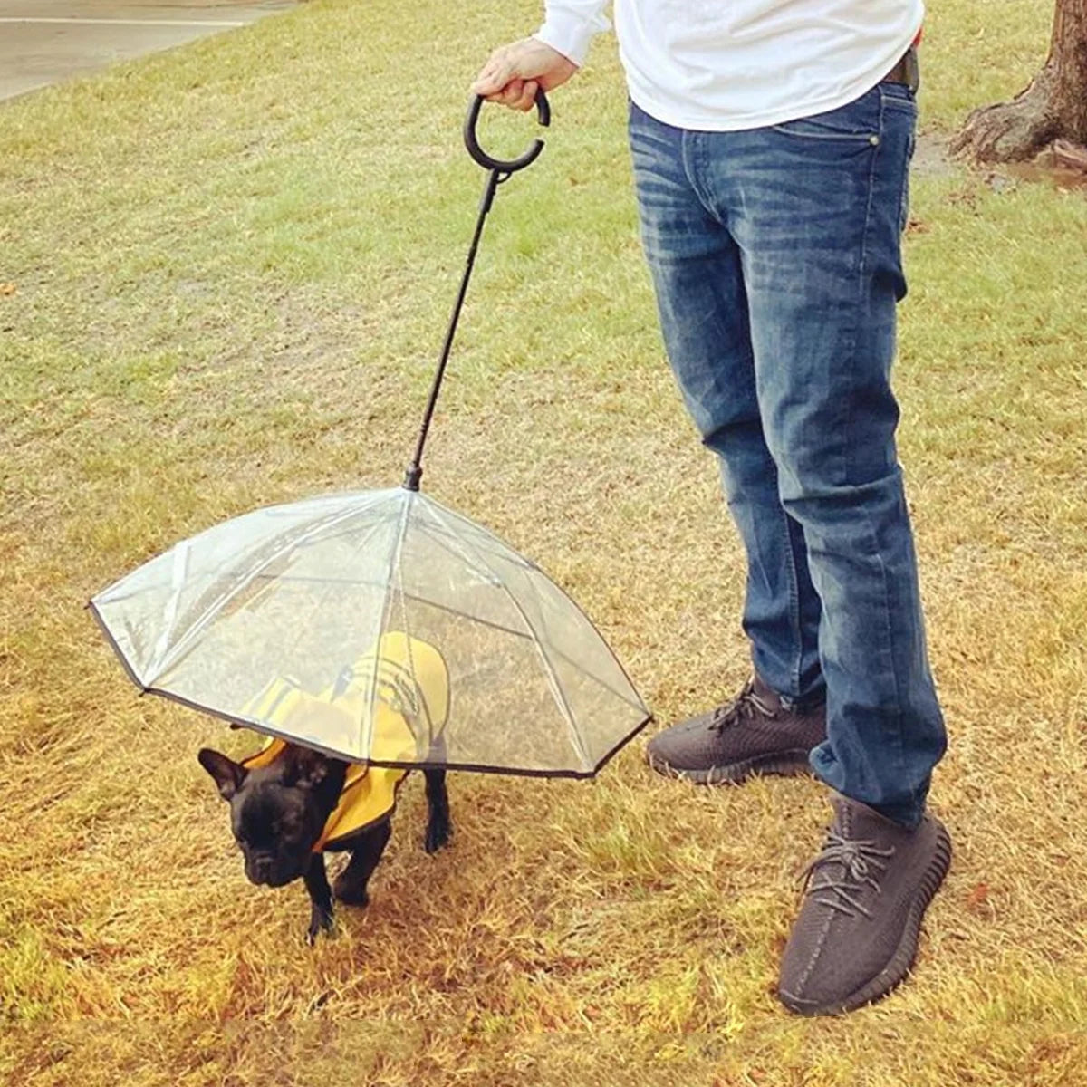 Flexible Handle Umbrella for Dog with Rope for Small Pets