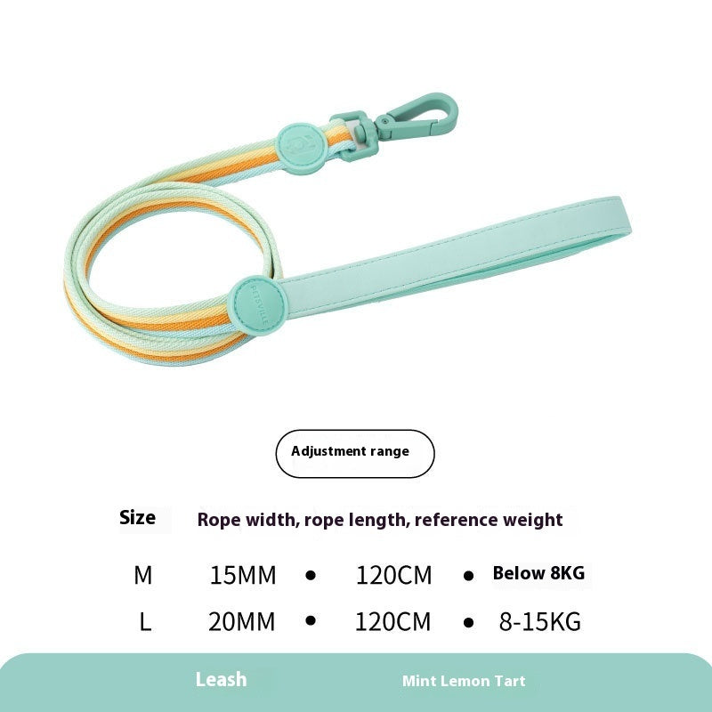 Retro Record Hand Holding Rope Small And Medium-sized Dogs