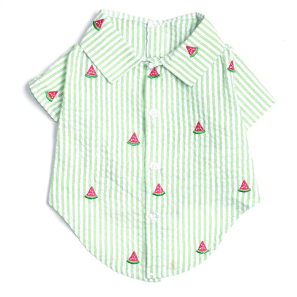 Green Stripe Watermelon Collared Dog Shirt