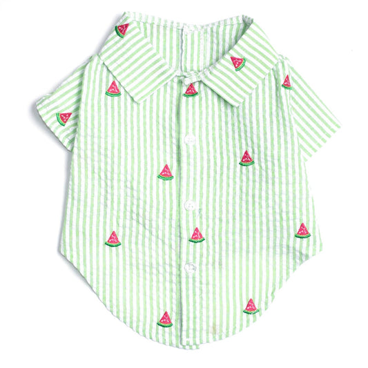 Green Stripe Watermelon Collared Dog Shirt