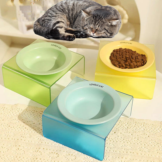Elevated Ceramic Cat Bowl Set with Modern Acrylic Rack Base