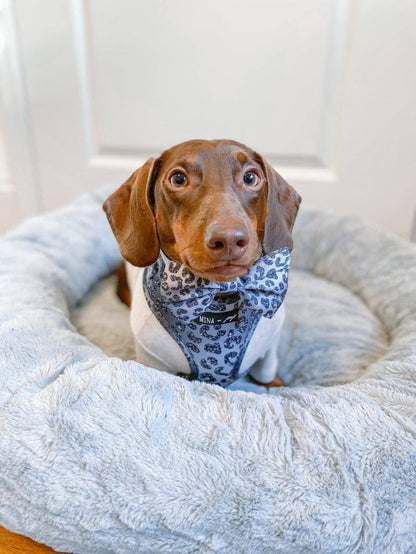 You’re So Glam Leopard Silver Ombre Bow Tie Dog Collar Attachment