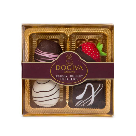 Dogiva Box of Chocolates Dog Toy Set - 4 Pc