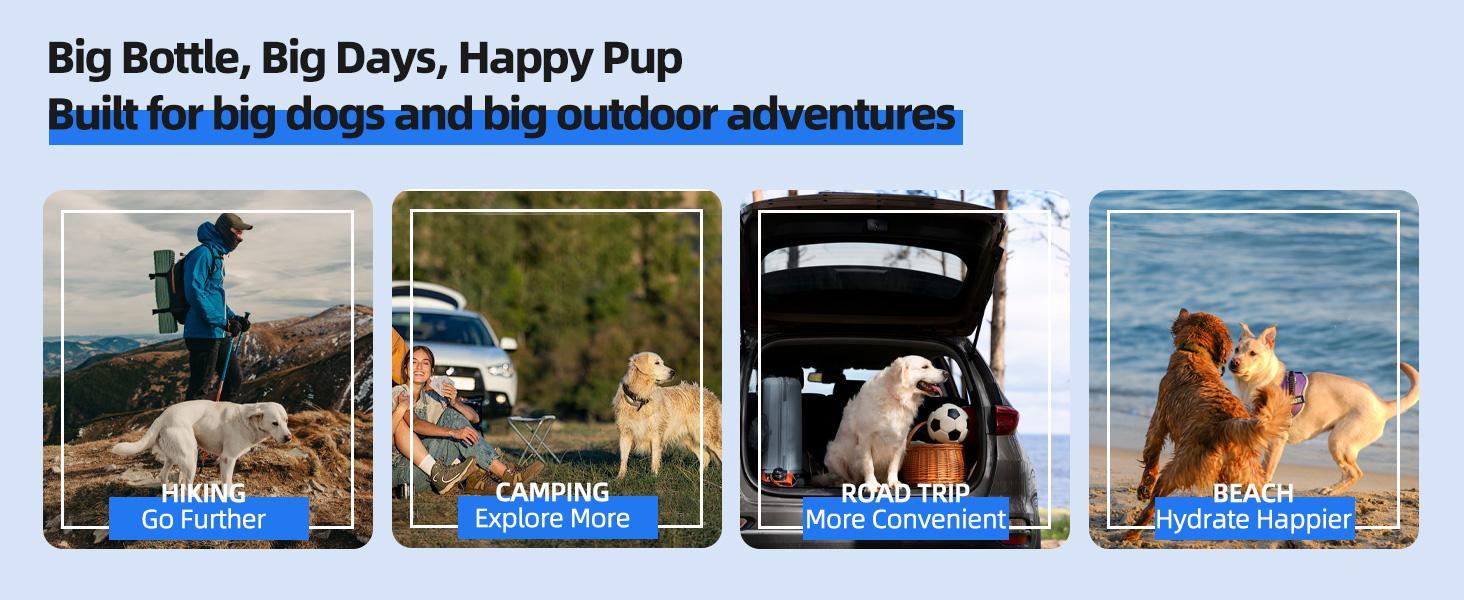 Dogs hiking, camping, and at beach. Ad for Lassot large capacity pull-out water bowl for big dogs. Blue text accents.