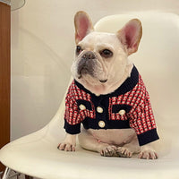 Fashion Cute Print Winter Pet Sweater