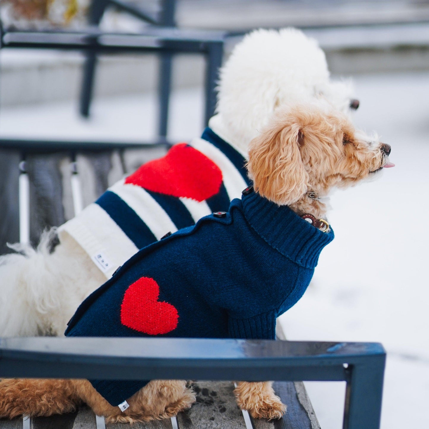 Heart to Heart Button - Up Cardigan Sweater - Dog Sweater - BarkBarkBaby