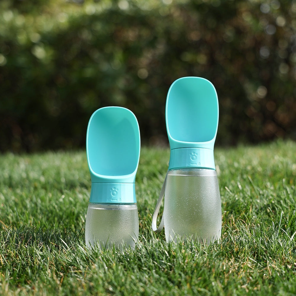 Pet Portable Cup Outdoor Water Feeding Light Type Kettle