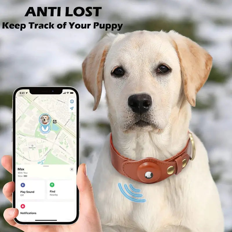 Leather Anti - Lost Dog Collar - Pet GPS Tracking Collar - Mimarta