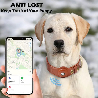 Leather Anti - Lost Dog Collar - Pet GPS Tracking Collar - Mimarta