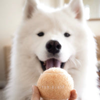 Classic Tennis Ball Set of 5 - Sand