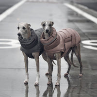 Dog clothing thickened warm waterproof windproof two leg