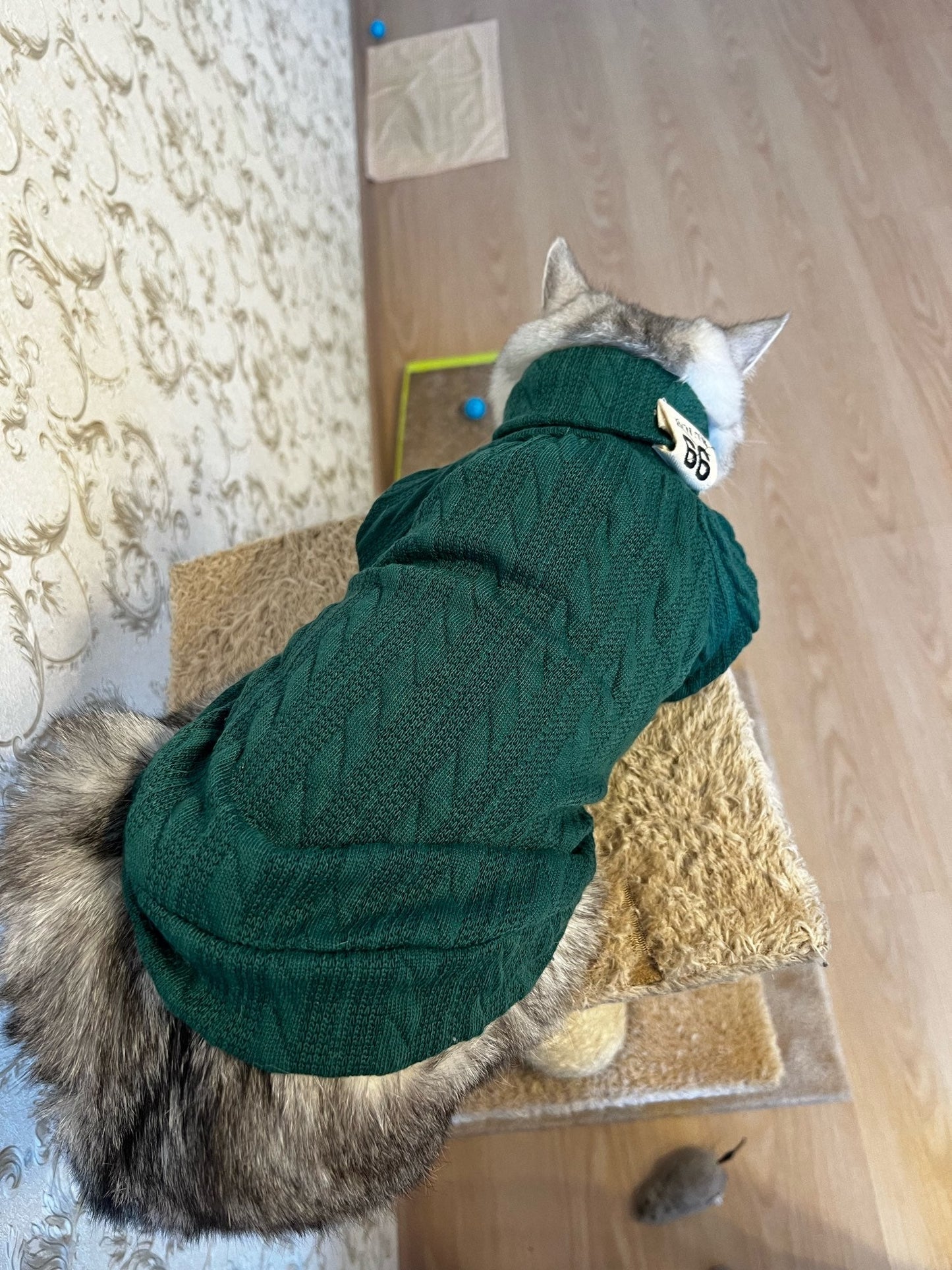 Winter Warm Knitted Turtleneck Sweater for Small Dogs or Cats - Purrfect Pet Kingdom