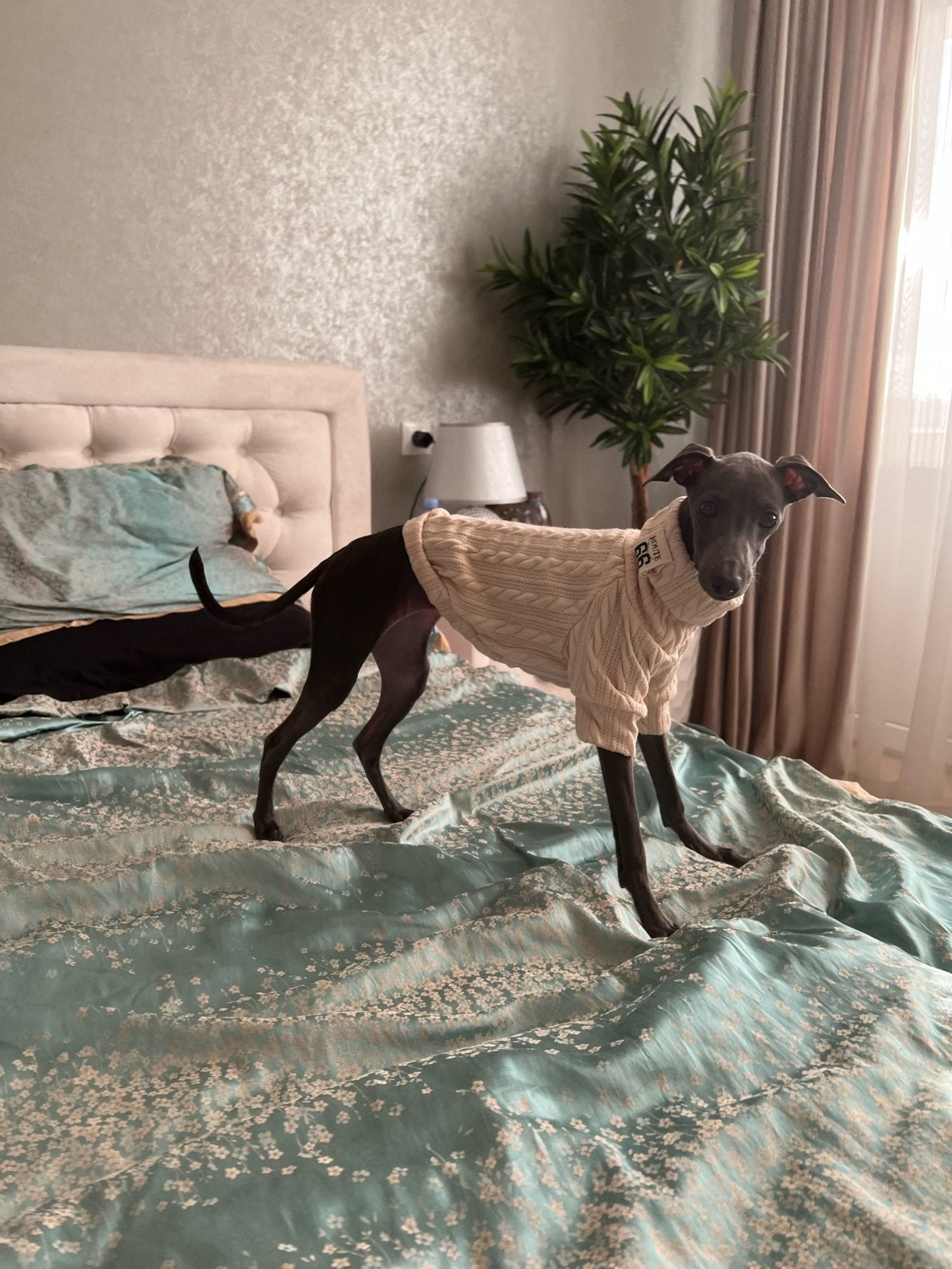 Winter Warm Knitted Turtleneck Sweater for Small Dogs or Cats - Purrfect Pet Kingdom