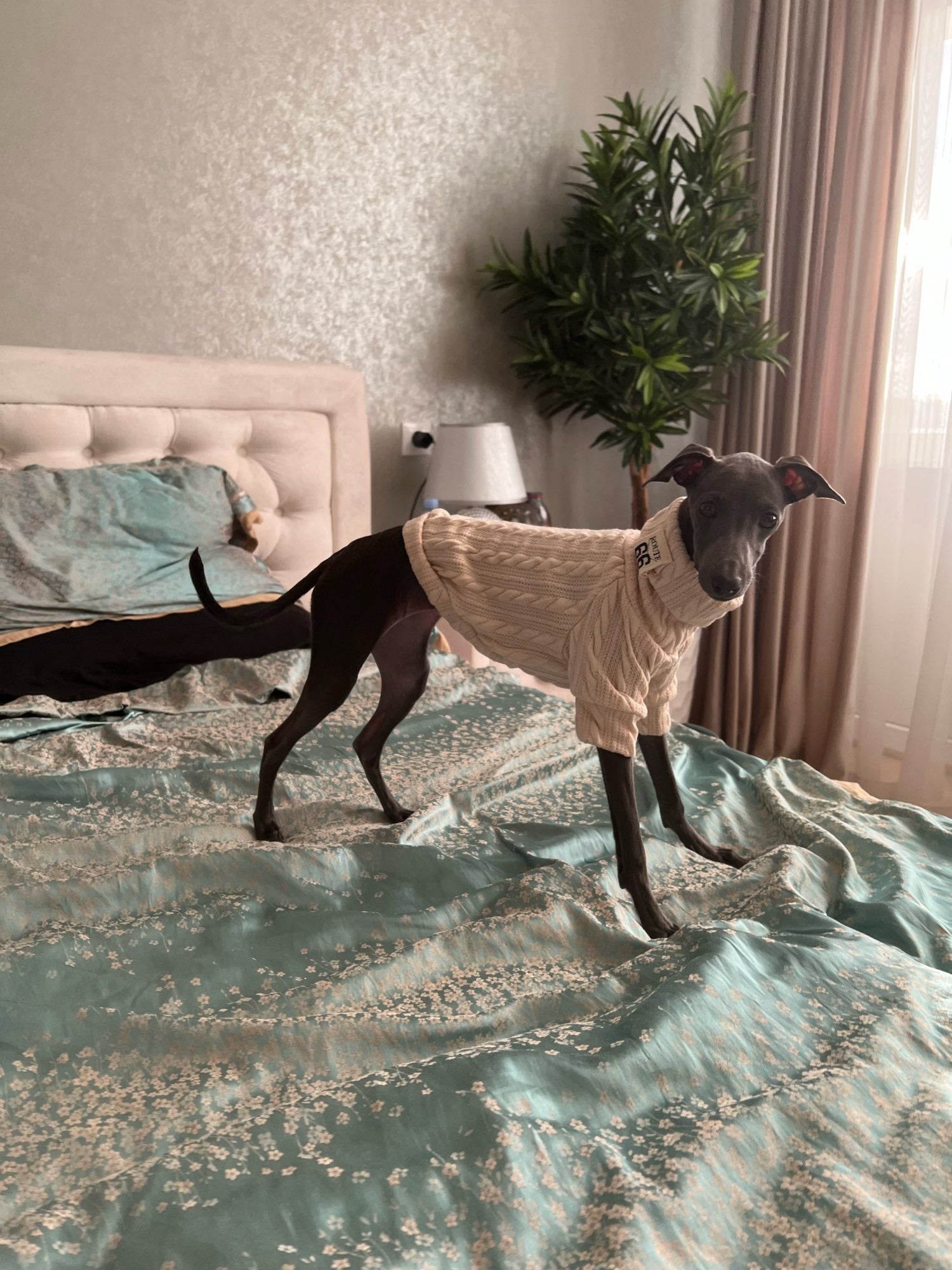 Winter Warm Knitted Turtleneck Sweater for Small Dogs or Cats - Purrfect Pet Kingdom