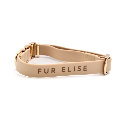 Elise Collar - Sand - Pet Collars - Elise Galleria