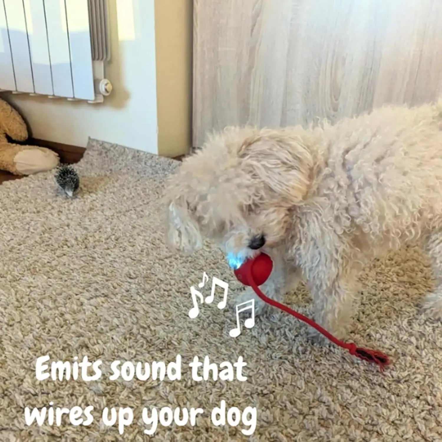 Bite resistant automatic cat teasing ball cat toy ball self fun and stress relieving tool with rope pet supplies jumping ball - Purrfect Pet Kingdom