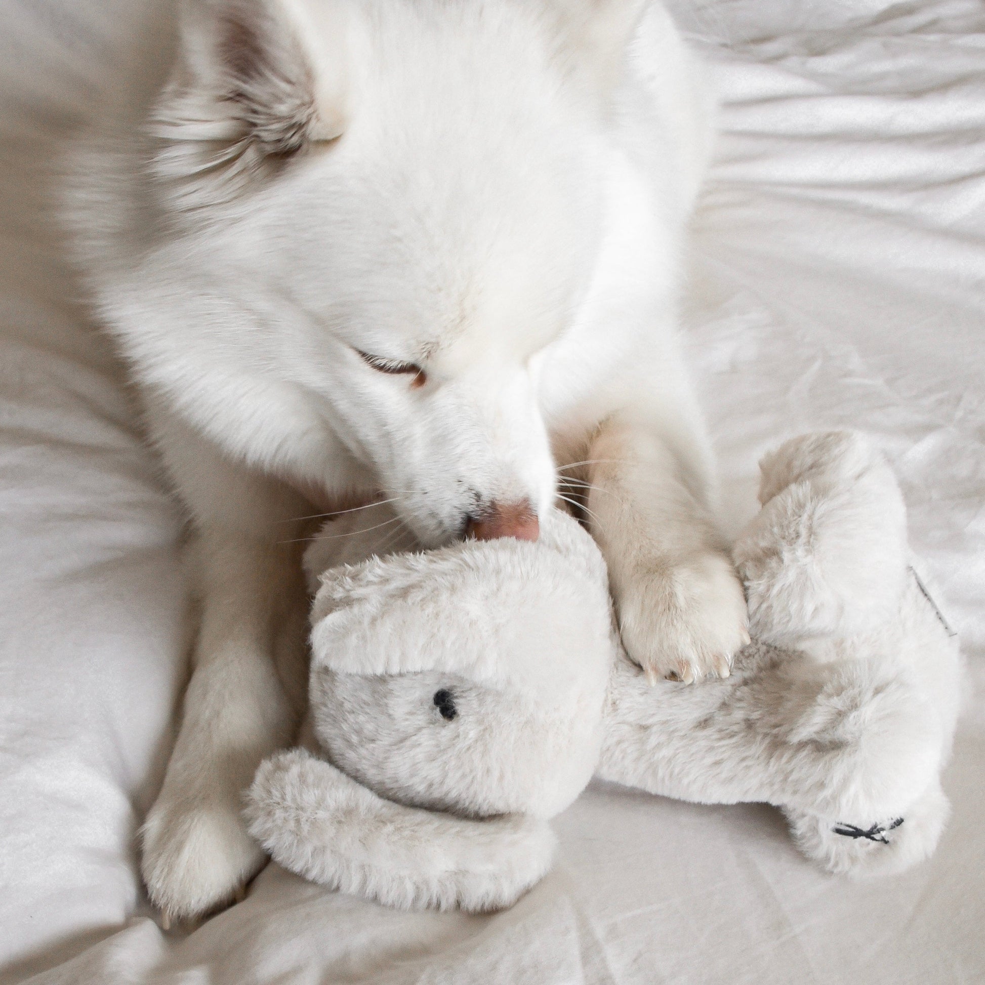 Ella Plushie - Pet Toy - Elise Galleria