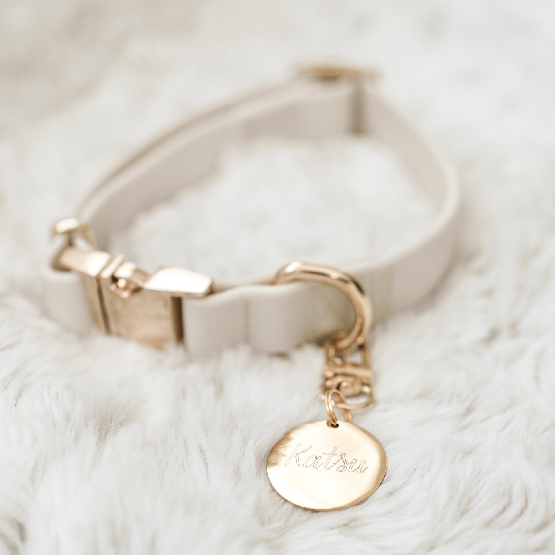 Elise Collar - Bone - Pet Collars - Elise Galleria