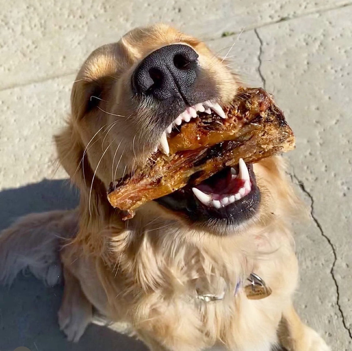 Purrfect Kingdom™ - Lamb Shank Single Ingredient Reward Treat