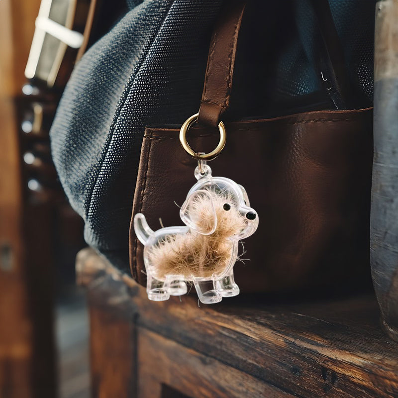 A transparent DIY pet hair memorial keychain box, a sweet keepsake for dog lovers.