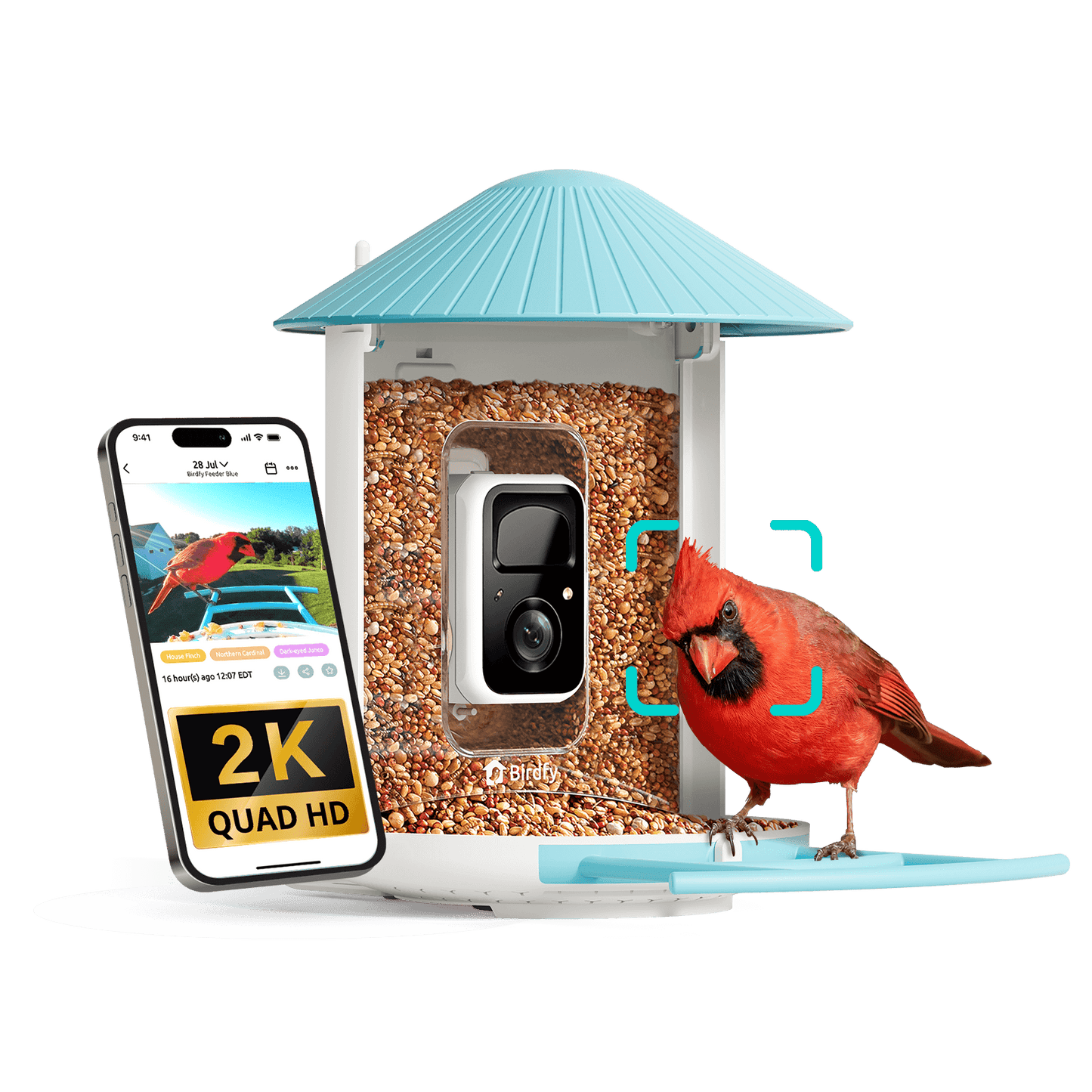 Birdfy Feeder - AI-Powered Smart Bird Feeder with Camera