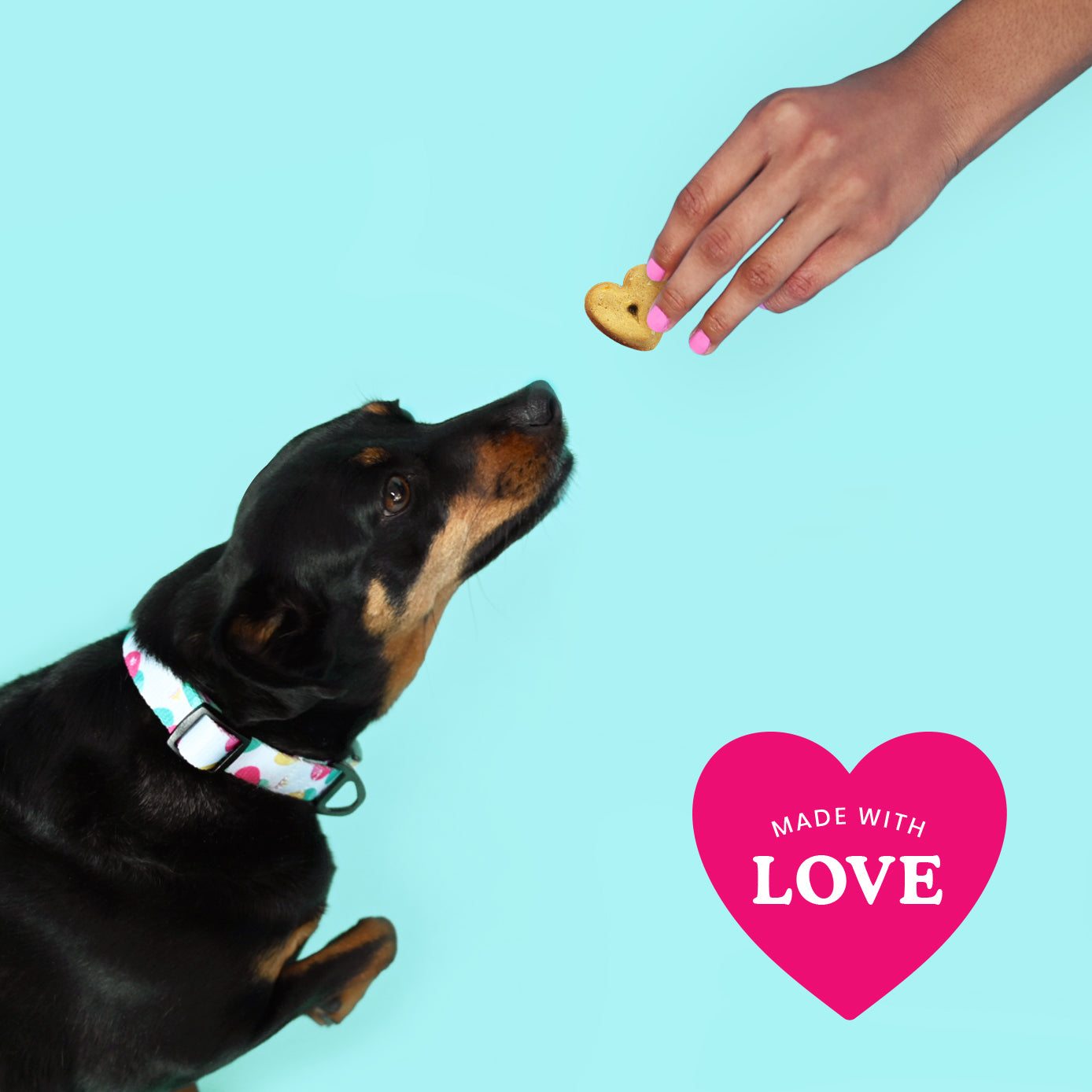 Ava's Pet Palace Organic Dog Treat Bag - Bundle 3 Flavors Bags