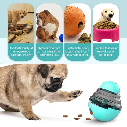 Interactive Dog Toy Slow Feeder – IQ Boosting Puzzle for
