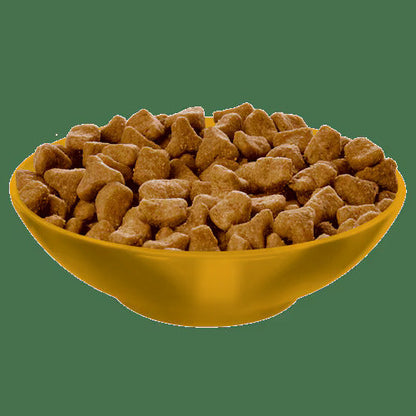 Hill's Science Diet Adult Hairball Control Chicken Recipe