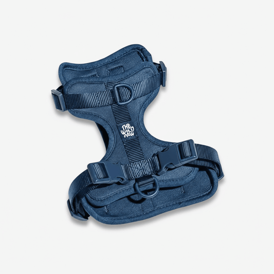 Navy blue AdventurePro padded harness by The Wild Paw with adjustable nylon straps, buckles, and metal D-rings.
