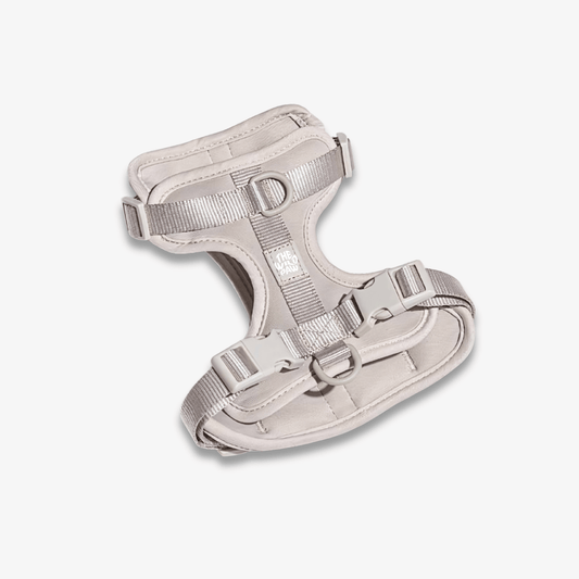 AdventurePro Harness - main product view | Dog Harnesses at Purrfect Pet Kingdom
