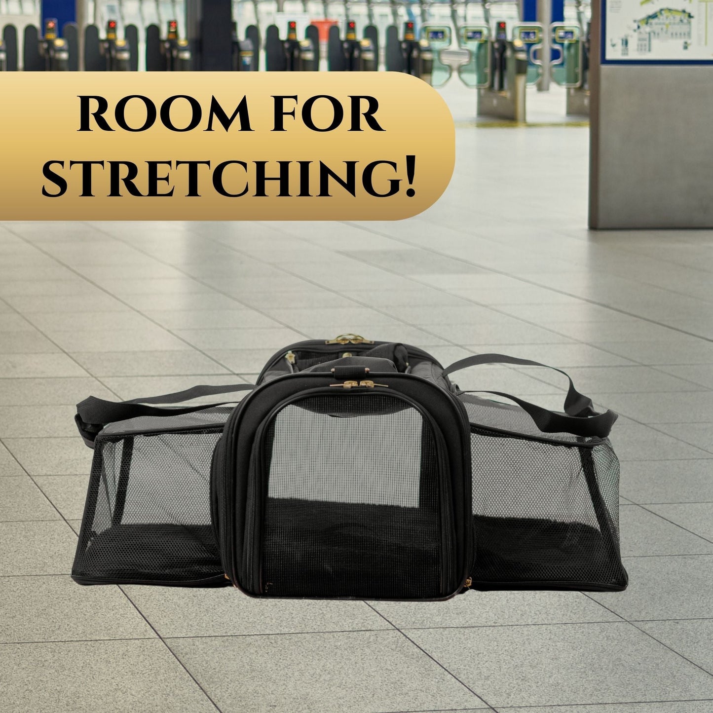 Pet Carrier Air Travel Portable Backpack