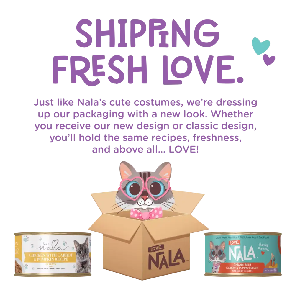 Two cans of wet food flanking a cat in a cardboard box with pink heart glasses. Purple 'SHIPPING FRESH LOVE' text.