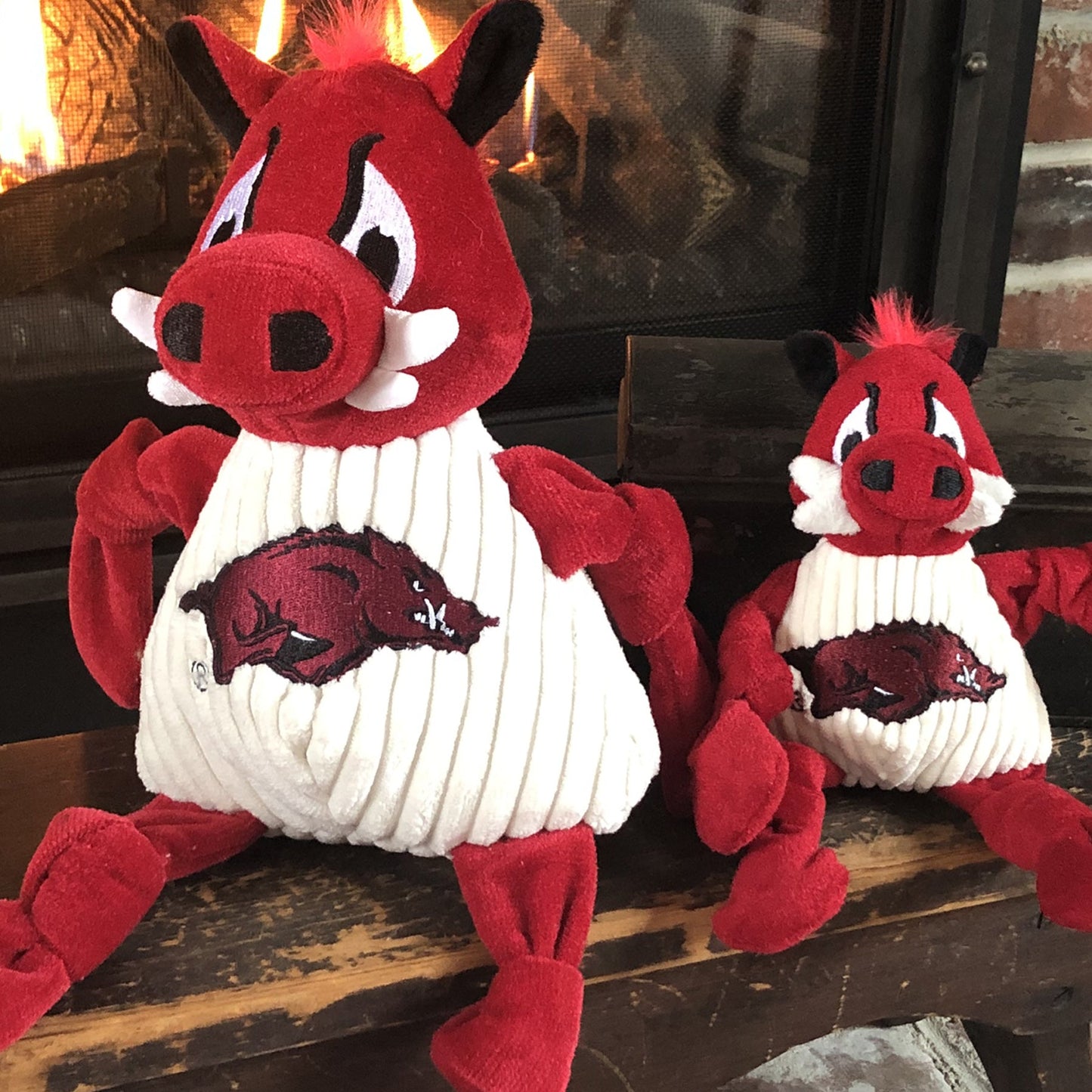 Dog Toy NCAA University of Arkansas Tusk the Razorback Essen - gallery product image for dog toy