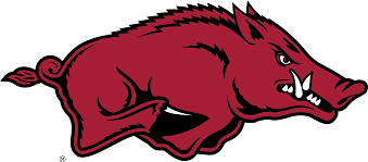 Dog Toy NCAA University of Arkansas Tusk the Razorback Essen - close up product image for dog toy