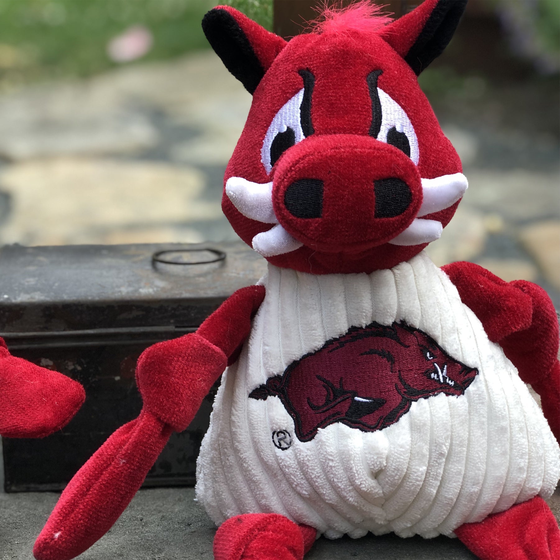 Dog Toy NCAA University of Arkansas Tusk the Razorback Essen - size and texture image for dog toy